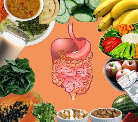 Understanding Digestive Health: A Comprehensive Guide to Gut Wellness