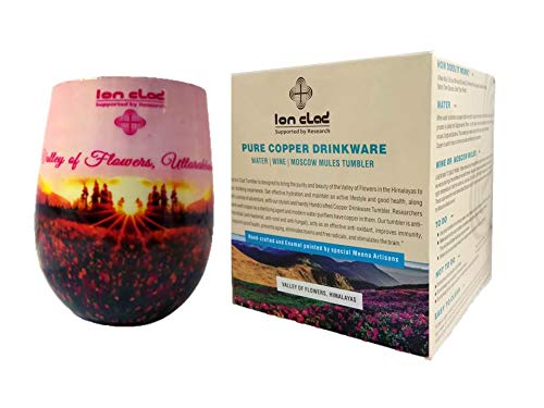 Ion Clad Scientist Developed Anti-Microbial Copper Tumbler,Handcrafted Enamel Designed, Stemless, Plastic Free, Seamless and Joint Free (500ml) Valley of Flowers, Himalaya Limited Edition.