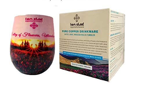 Ion Clad Scientist Developed Anti-Microbial Copper Tumbler, Handcrafted and Enamel Designed, Stemless, Plastic Free, Seamless and Joint Free(500ml) Valley of Flowers,Himalaya Limited Edition